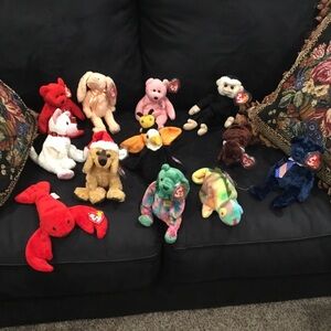 TY 14 Beanie babies including 2 Eagles one comes with a plastic box